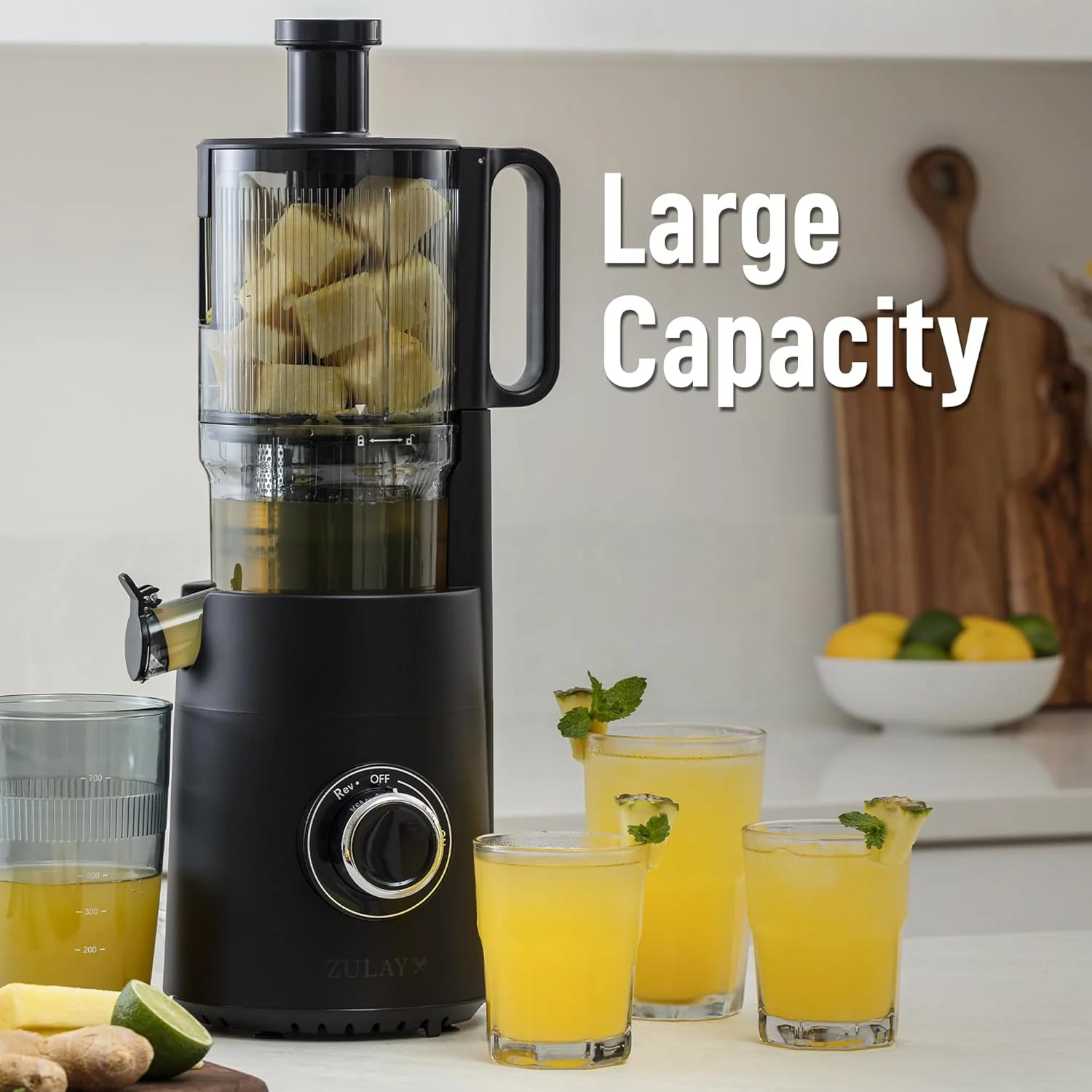 Wide Chute Cold Press Juicer - Image 2